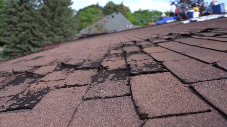 Fast & Reliable Emergency Roof Repairs in Wilson, PA